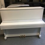 Paolo Napolitano Assistenza Accordatura e Trasporto Restauro Pianoforti a Napoli
