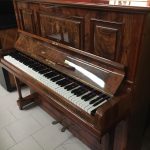Paolo Napolitano Assistenza Accordatura e Trasporto Restauro Pianoforti a Napoli