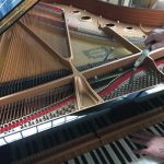 Paolo Napolitano Assistenza Accordatura e Trasporto Restauro Pianoforti a Napoli