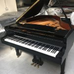 Paolo Napolitano Assistenza Accordatura e Trasporto Restauro Pianoforti a Napoli