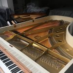 Paolo Napolitano Assistenza Accordatura e Trasporto Restauro Pianoforti a Napoli