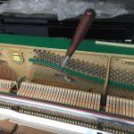 accordatura pianoforti napolitano
