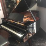Paolo Napolitano Assistenza Accordatura e Trasporto Restauro Pianoforti a Napoli