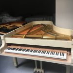 Paolo Napolitano Assistenza Accordatura e Trasporto Restauro Pianoforti a Napoli