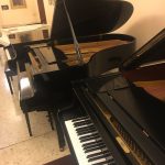 Paolo Napolitano Assistenza Accordatura e Trasporto Restauro Pianoforti a Napoli