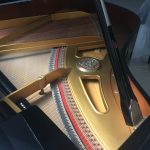 Paolo Napolitano Assistenza Accordatura e Trasporto Restauro Pianoforti a Napoli