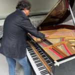 Accordatura Pianoforti Napolitano - Restauro Pianoforti Napolitano - Trasporti Pianoforti Napolitano